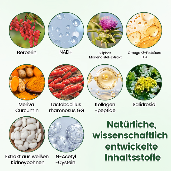 Offizieller Store | ☀️☀️ Timilk® Moringa · Berberine + NAD+ 10-in-1 Nano-Mikronadelpflaster(Nur einmal täglich – sichtbare Veränderungen innerhalb von 7 Tagen)✨