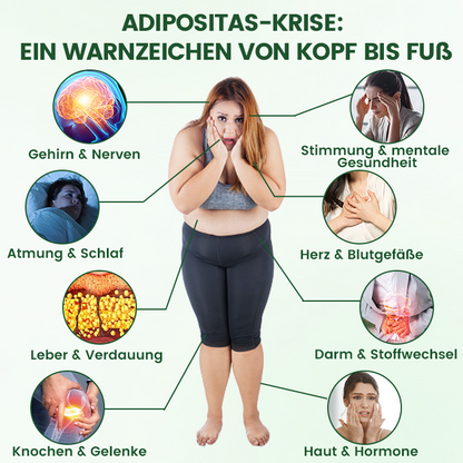 Offizieller Store | ☀️☀️ Timilk® Moringa · Berberine + NAD+ 10-in-1 Nano-Mikronadelpflaster(Nur einmal täglich – sichtbare Veränderungen innerhalb von 7 Tagen)✨