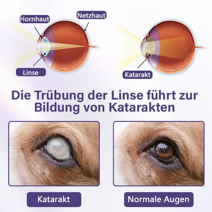 Timilk® NanoCare Augentropfen für Haustiere  👩‍⚕️ FDA-Zulassung | Lindert Bindehautentzündung, trockene Augen, Katarakte und Keratitis 🐶🐱🔥