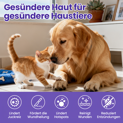 Timilk® WaxLift Haustier-Ohrenreinigungslösung🔥