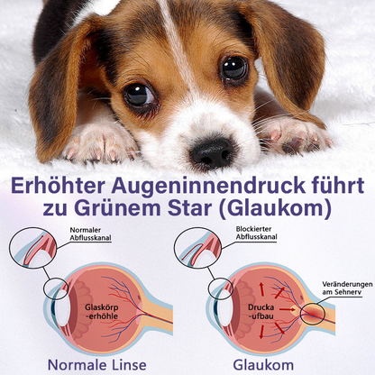 Timilk® NanoCare Augentropfen für Haustiere  👩‍⚕️ FDA-Zulassung | Lindert Bindehautentzündung, trockene Augen, Katarakte und Keratitis 🐶🐱🔥